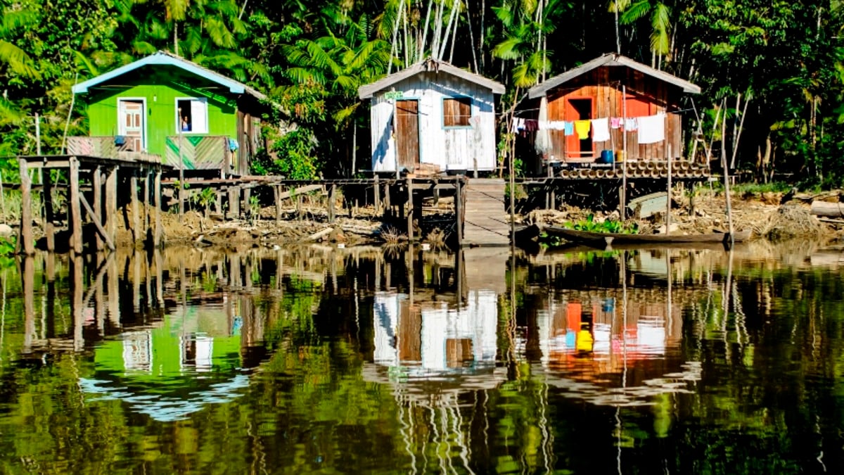 Amazônia 4