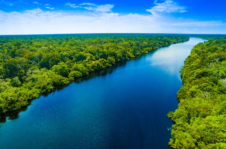 Amazônia 1